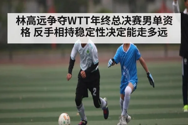 林高远争夺WTT年终总决赛男单资格 反手相持稳定性决定能走多远
